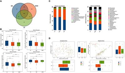 Alterations of gut microbiota are associated with brain structural changes in the spectrum of Alzheimer's disease: the SILCODE study in Hainan cohort